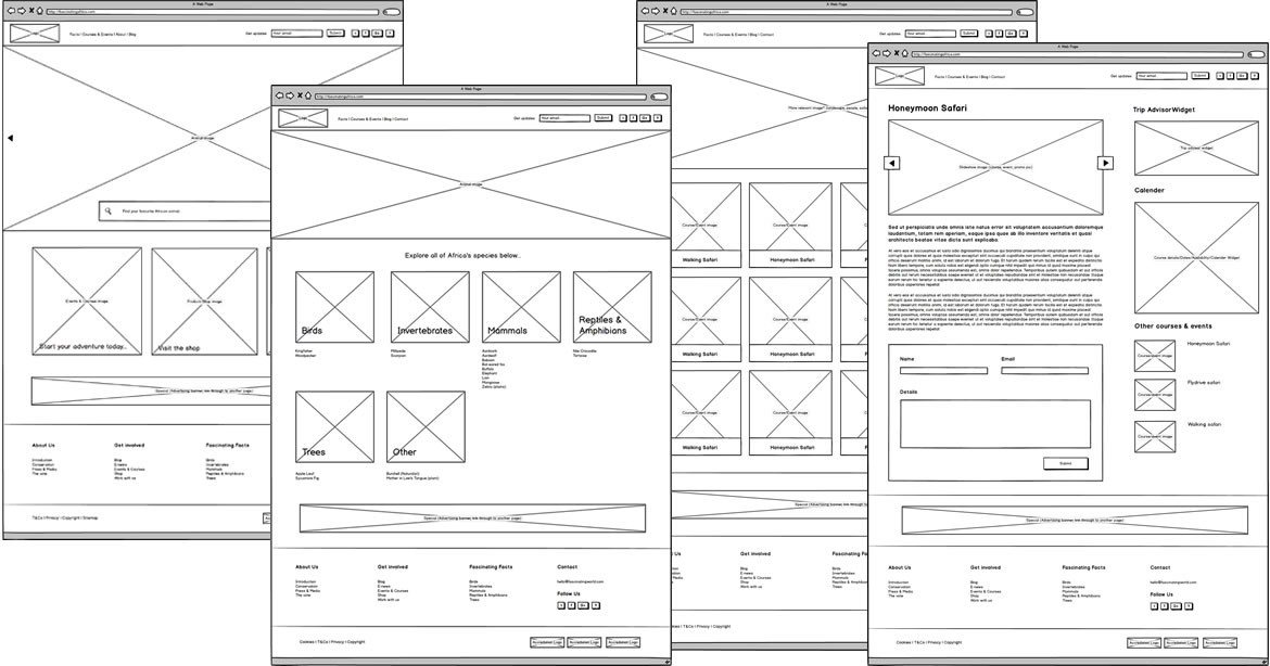 2. Le Wireframe : Définir la Structure Détail par Détail