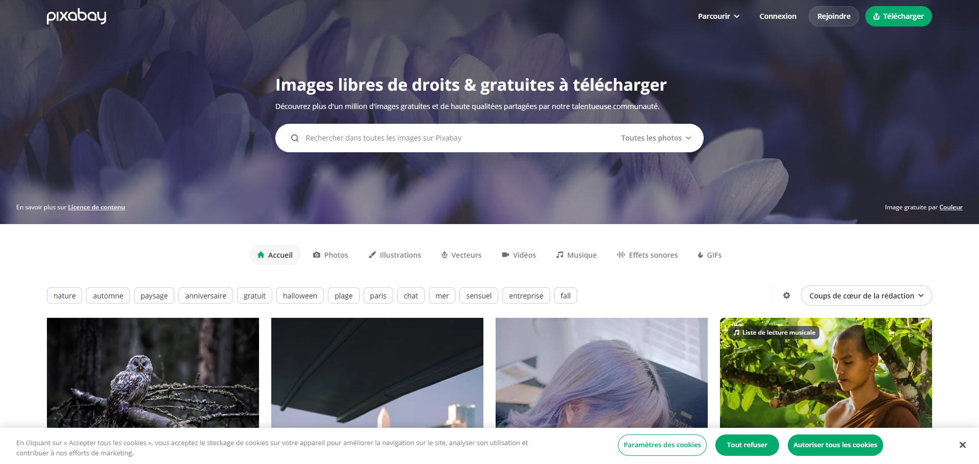 Pourquoi Choisir Pixabay ?